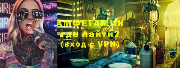 эйфоретик Няндома