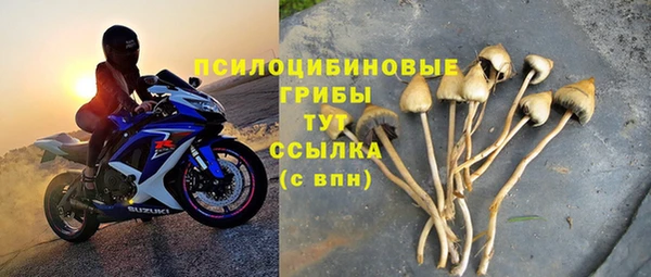 сатива Алексин