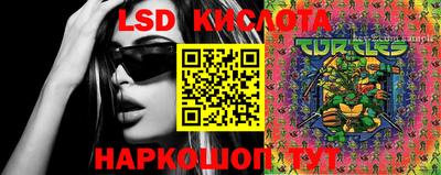 PSILOCYBIN Владимир