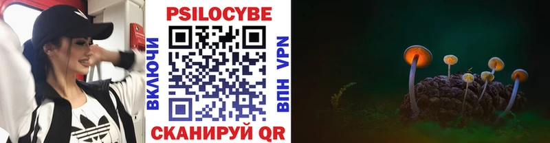 Псилоцибиновые грибы GOLDEN TEACHER  Ачинск 